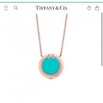 Tiffany&Coネックレス2022新...